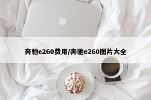 奔驰e260费用/奔驰e260图片大全